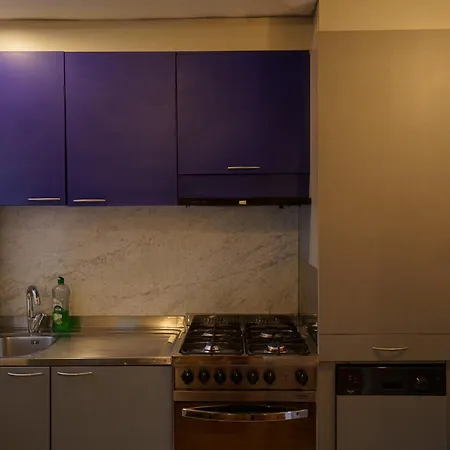 Lovely & Quite One Bedroom Near Piazza Santo Spirito Apartment