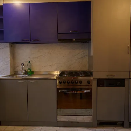 Lovely & Quite One Bedroom Near Piazza Santo Spirito Lägenhet Florens